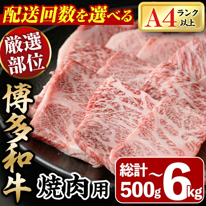 【ふるさと納税】＜定期便・配送回数を選べる＞博多和牛焼肉用(総計500g～6kg) 牛肉 黒毛和牛 国産 BBQ 化粧箱 贈答 ギフト プレゼント 定期便 ＜離島配送不可＞【ksg0287・ksg1719・ksg1720・ksg1721】【MEATPLUS】