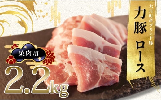
            国産 豚肉 ロース 焼き肉用2.2kg (200g×11P)｜力豚 小分け 使いやすい ブランド豚 脂 真空パック 冷凍 ポーク 焼き肉 焼肉 BBQ お取り寄せ 簡単調理 ご当地 配達日指定可 おすすめ 人気 土佐 高知県 大月町
          