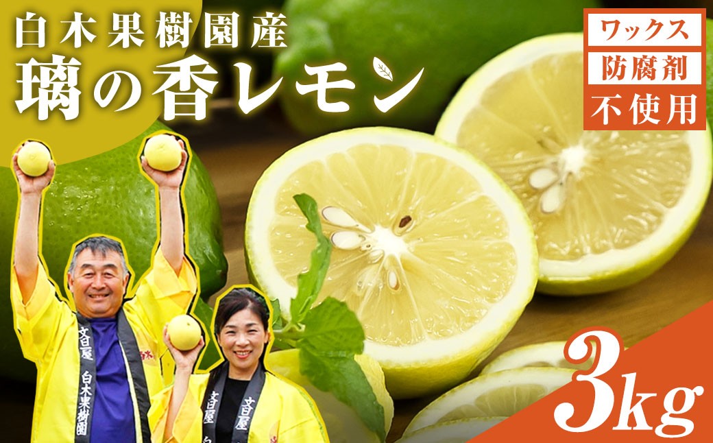 
                  【先行予約】レモン 約3kg 8～15個〈2026年10月下旬～12月上旬頃発送〉  /  璃の香レモン 果物 くだもの 柑橘 フルーツ れもん お取り寄せ 産地直送 おいしい 美味しい 白木果樹園 常温 配送 高知県 高知 土佐市【白木果樹園】 [BQAI025]
                