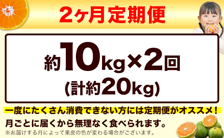 【2ヶ月定期便】訳あり みかん 小玉みかん くまもと小玉みかん 定期便 10kg (10kg×1箱)   秋 旬 不揃い 傷 ご家庭用 SDGs 小玉 たっぷり 熊本県 産 S-3Sサイズ フルーツ 