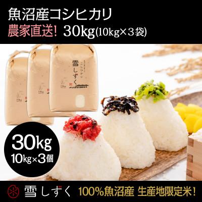 ふるさと納税 十日町市 令和7年産!魚沼産コシヒカリ 雪しずく【農家直送!】 精米10kg×3袋