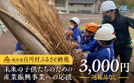 《返礼品なし》3000円 岐阜県白川村への寄附 応援寄附金 世界遺産 白川郷 三千円 寄付 子どもたちの未来のための産業振興 寄付金 飛騨 合掌造り[S640]