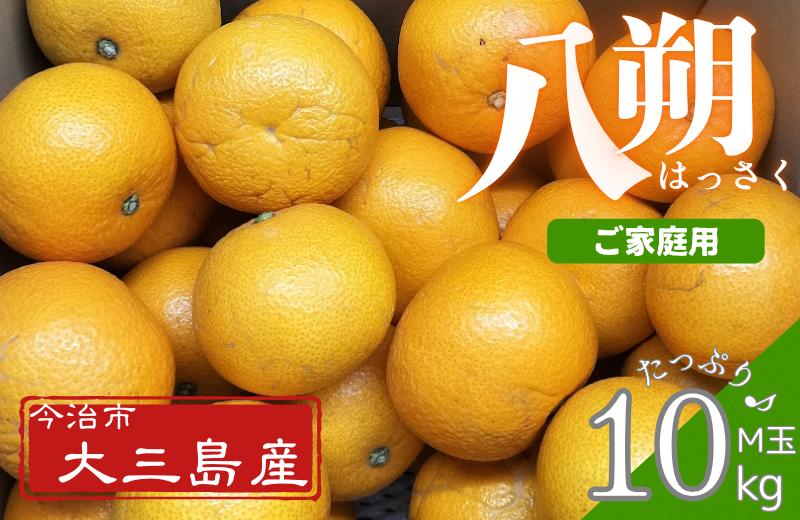 
            八朔Ｍ玉・ご家庭用（キズあり） 10kg【K003220M10】
          
