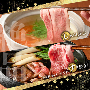 y425 鹿児島黒牛すきしゃぶ食べ比べセット(ロースもしくはカタローススライス500g・モモもしくはカタスライス500g)国産 九州産 牛肉 黒牛 黒毛和牛 焼き肉 すき焼き しゃぶしゃぶ 肩ロース【