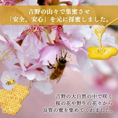 ふるさと納税 吉野町 日本蜜蜂ハチミツ970g |  | 02