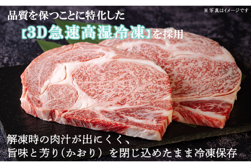 宮崎牛 A4 赤身 ステーキ 150g×3枚 特製ステーキソース シーズニング付 [南海グリル 宮崎県 美郷町 31bg0016] 牛肉 和牛 ステーキ 赤身肉 脂控えめ あっさり 厳選 旨味 冷凍 
