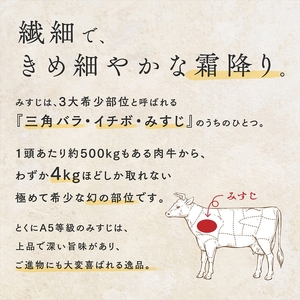 ＜創業99年老舗和牛専門卸厳選＞黒毛和牛A5等級ウデみすじスライス500g