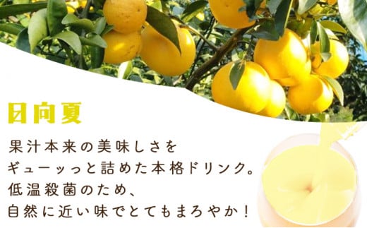 KU122 あふれる果実感！マンゴー・日向夏ドリンク２本セット(各720ml)【宮崎果汁】