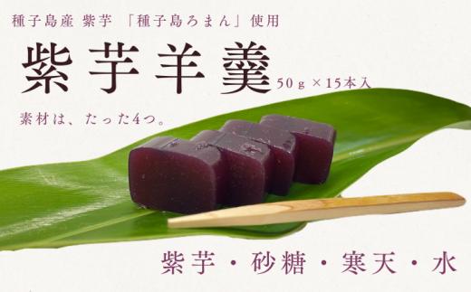 種子島 産 紫芋 羊羹 「種子島ろまん」 NFN696 【400pt】// 種子島産 無添加 食べきり 贈り物 ようかん ヨウカン 手土産