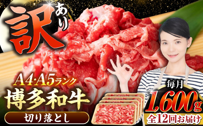 
                  【全12回定期便】【訳あり】【A4〜A5】博多和牛 切り落とし1.6kg（400g×４個）《豊前市》【株式会社木村食品】[VDZ131] 和牛 国産 牛肉 切り落とし 定期便 12回
                
