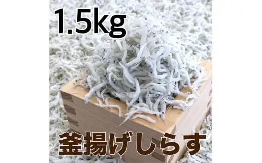 釜揚げしらす1.5kg(500g×3パック) / シラス 厳選 小分け 冷蔵便【dig207-r-1500】