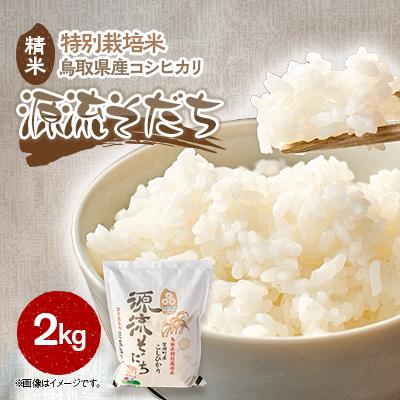 ふるさと納税 智頭町 I1-3 源流そだち(お米)2kg×1袋