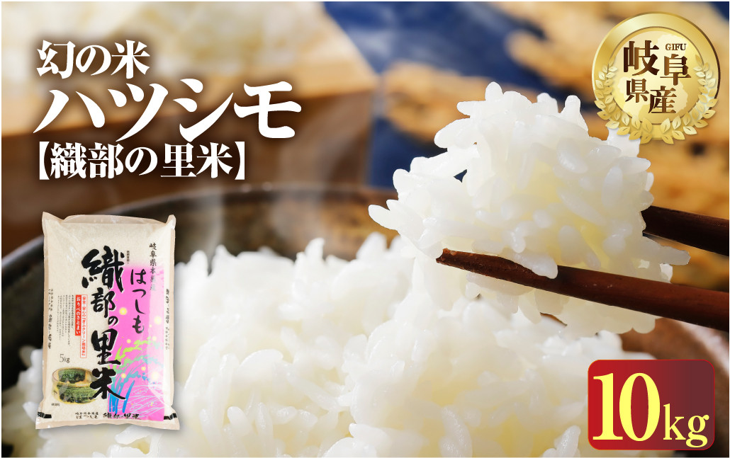 
            令和7年産 新米 ハツシモ 10kg ( 5kg × 2袋 )  幻の 米 こめ ごはん 白米 岐阜県産 本巣市 お米 精米 おにぎり 弁当 【織部の里米(R)】寿司 おすすめ もとすファーム 先行予約
          