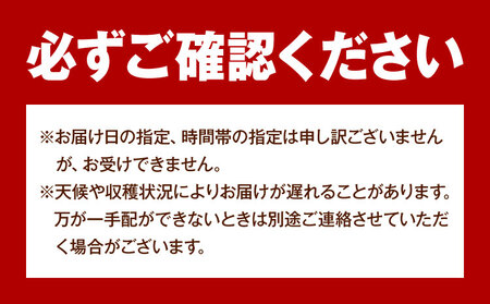 【先行予約】ご家庭用 岡山県産 シャインマスカット 約1.2kg ( 2～3玉 ) クール便 晴れの国 おかやま館 (つむぐ株式会社) 《2024年9月上旬-11月中旬頃出荷》岡山県 浅口市 マスカッ