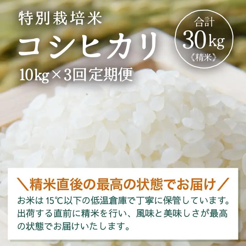 【先行予約】【令和8年産】定期便 ≪3ヶ月連続お届け≫ 特別栽培米 コシヒカリ 精米 10kg×3回（計30kg）※2026年10月上旬より順次発送 [aw121-f002]