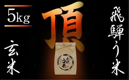 【数量限定/先行受付】令和7年産 飛騨う米『頂』玄米 5kg | 有機肥料 100％ 米コン3年連続特別優秀賞受賞 米 こしひかり コシヒカリ 飛騨高山 株式会社拳 GW005