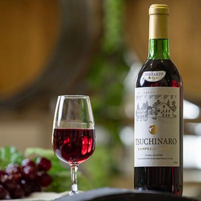 ふるさと納税 赤磐市 ワイン 果実酒 キャンベルロゼ キャンベル赤 甲州 720ml　各1本[NO5765-1253] |  | 03