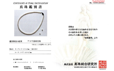 老舗の真珠専門店・高品質アコヤ真珠ネックレス・ ピアス セット5.5～6.0ミリ / 伊勢志摩 志摩 三重県 真珠 パール あこや アクセサリーネックレス イヤリング ピアス セット ジュエリー アコ