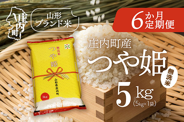 ＜5月下旬発送＞庄内米6か月定期便！つや姫 無洗米 5kg【入金期限：2026.4.25】ブランド米 米 国産 単一原料米 山形 庄内平野 コシヒカリの原点、亀の尾発祥の地 庄内 定期
