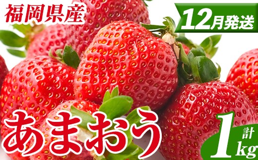 
            ＜先行予約受付中！2025年12月発送予定＞ 福岡県産 あまおう (計1kg・250g×4パック) いちご イチゴ 苺 ストロベリー 果物 フルーツ おやつ デザート スイーツ 福岡県 小分け アマオウ 12月発送 期間限定 数量限定 冷蔵 【エフビーネット】as47-002
          