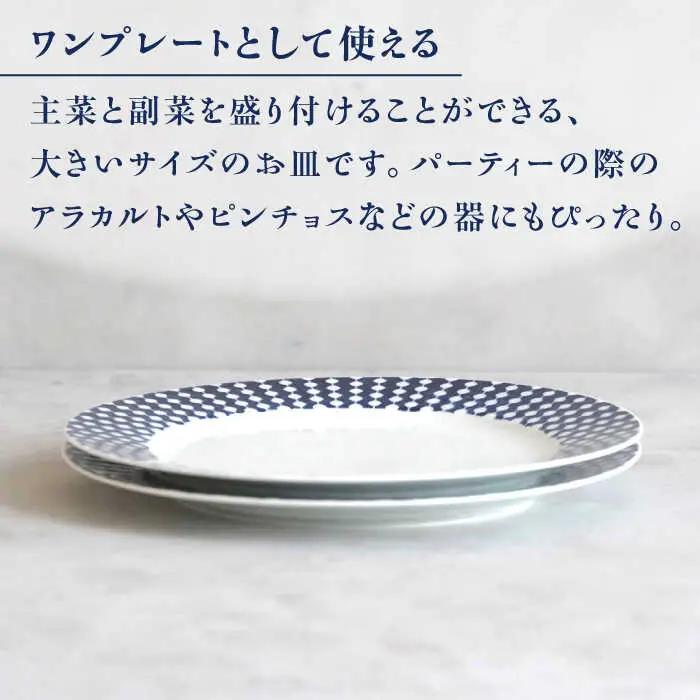 【波佐見焼】dye8号リムプレート 25cm皿 ストレート柄 2点セット【西海陶器】[OA388]
