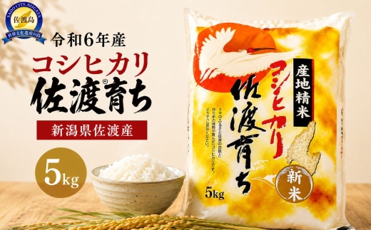 【令和7年産 コシヒカリ 5kg】佐渡産コシヒカリ「佐渡育ち」精米5kg 一等米 高野屋 | 新潟県産コシヒカリ 新潟産コシヒカリ 新潟コシヒカリ 佐渡島産コシヒカリ 新潟県産こしひかり 佐渡産こしひかり お米 米 こしひかり 白米 精米 ブランド米 おこめ コメ 5キロ にいがた さど 新潟県 佐渡市