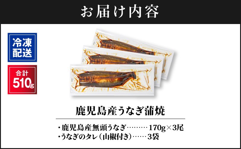 2443 鹿児島産うなぎ 合計510g（170g×3尾） 清らかな地下水育ち！　KN021-014-03