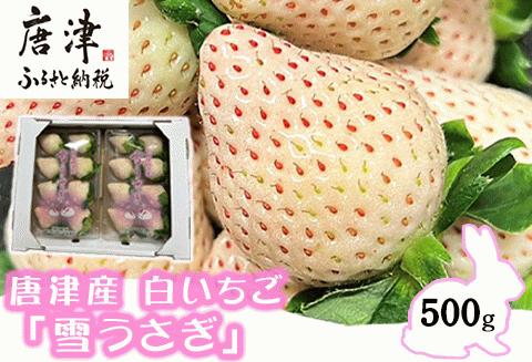 『予約受付』【令和7年2月中旬発送】唐津産 白いちご「雪うさぎ」苺 イチゴ 希少 果物 フルーツ ハマファーム