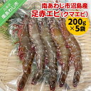 【ふるさと納税】 【沼島産】足赤エビ（クマエビ）200g×5袋　◆配送11/1～2/28