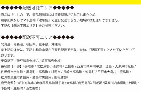 【FB3】魅惑の柿の葉寿司 たい８個入り