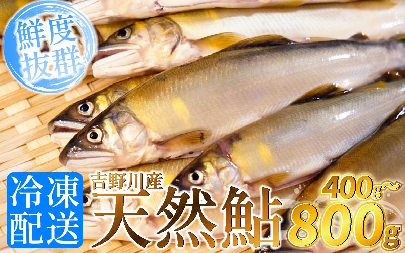 
            鮎 天然 あゆ 400g 800g 吉野川産 吉野川 清流 釣り鮎 釣り アユ 魚 魚介 川魚 塩焼き アウトドア バーベキュー BBQ キャンプ 国産 酒 ビール おつまみ 弁当 惣菜 おかず 冷凍 徳島県 三好市 みよし miyoshi
          