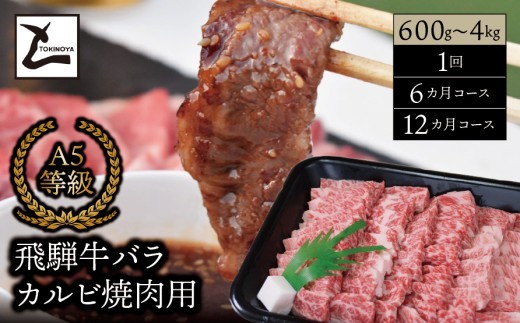 
                  ＼選べる容量・回数／ A5 飛騨牛 バラ カルビ 焼肉用｜岐阜県産 国産 黒毛和牛 ブランド牛 スライス 霜降り 冷凍 贅沢 高級肉 バーベキュー お歳暮 お中元 ギフト プレゼント おすすめ トキノ屋食品
                
