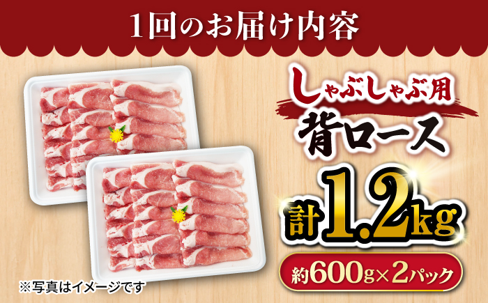 【月1回1.2kg×6回定期便】大西海SPF豚 背ロース（しゃぶしゃぶ用） 訳あり ＜大西海ファーム＞ [CEK095]