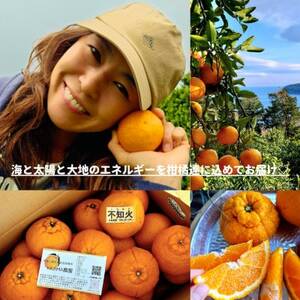 柑橘の王様★不知火5kg入り　濃厚ジューシー、甘味たっぷり!　酸味も程よく香り高く、実はプリプリ!【1695159】