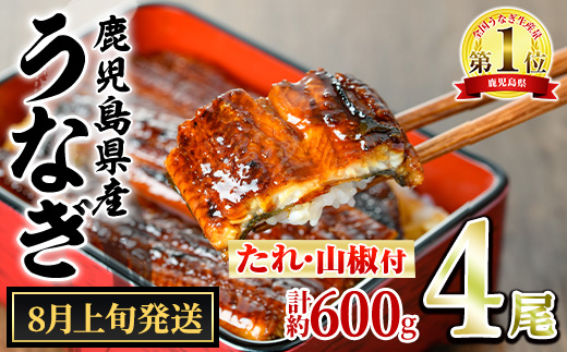 【0204348a-2608】＜8月上旬発送予定＞東串良町のうなぎ蒲焼(無頭)(4尾・計約600g・タレ、山椒付) うなぎ 高級 ウナギ 鰻 国産 蒲焼 蒲焼き たれ 鹿児島 ふるさと 人気 【アクアおおすみ】