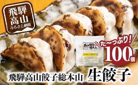 飛騨高山餃子 100個入り ＜ 生冷凍 餃子 ＞ FN002