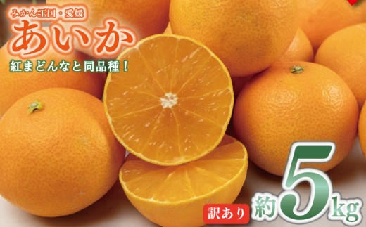 訳あり 愛果28号 約5kg 【2026年11月下旬頃から順次発送】 | あいか アイカ みかん 紅まどんな 紅マドンナ と同品種 柑橘 果物 くだもの フルーツ みかん ミカン mikan mican 不揃い 傷 ワケアリ 訳アリ 愛媛県 松山市