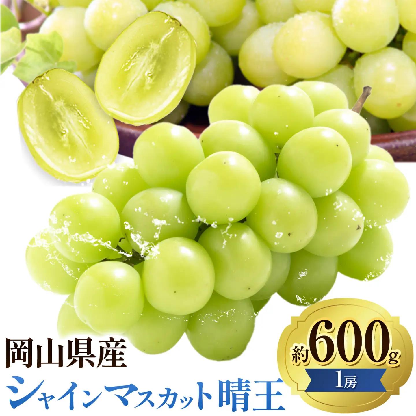 【先行予約】ぶどうシャインマスカット 晴王 約 600g 1房 【配送不可地域あり】 株式会社藍《9月上旬-10月下旬頃出荷》 岡山県 浅口市 岡山県産 ぶどう フルーツ 果物 くだもの マスカット 送料無料