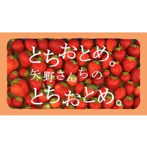 完熟とちおとめ　デラックスタイプ4パック(1パックあたり6～12粒)【配送不可地域：離島・北海道・沖縄県・九州】【1261213】