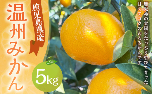 【鹿児島県薩摩川内市産】温州みかん 約5kg AS-0142