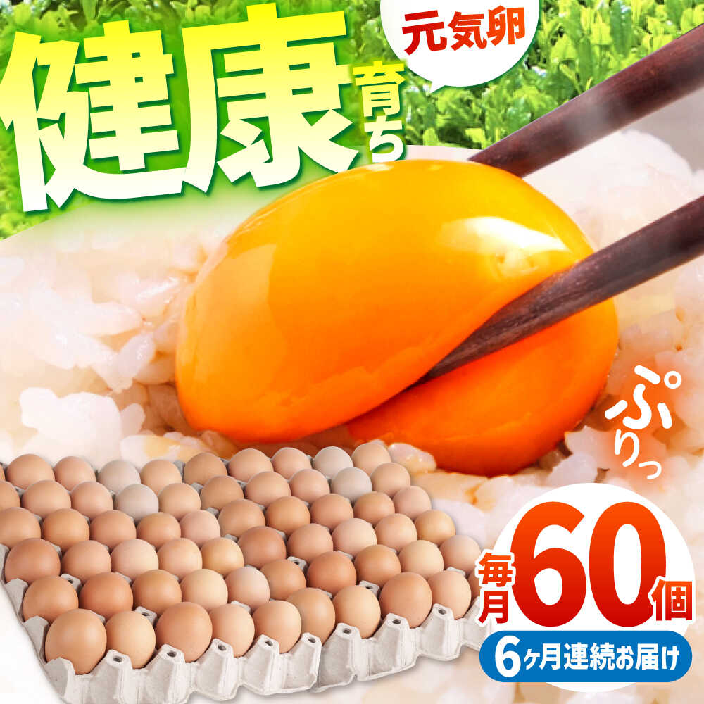 【ふるさと納税】【全6回定期便】お茶と海藻で健康育ち 元気卵 360個（60個×6回） / 卵 定期便 玉子 たまご タマゴ 鶏卵 6か月 6ヵ月 6カ月 6ケ月 定期 / 亀山市 / 藪本養鶏園[AMBH010]