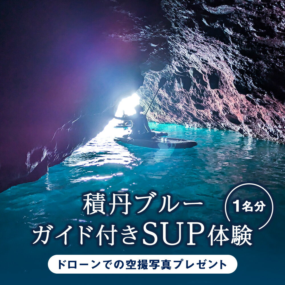 【ふるさと納税】SUP 体験 1名 北海道 海底公園 ガイド付き ドローン 空撮写真サップ パドルボード 体験 ツアー スポーツ 北海道ふるさと納税 積丹町 ふるさと納税