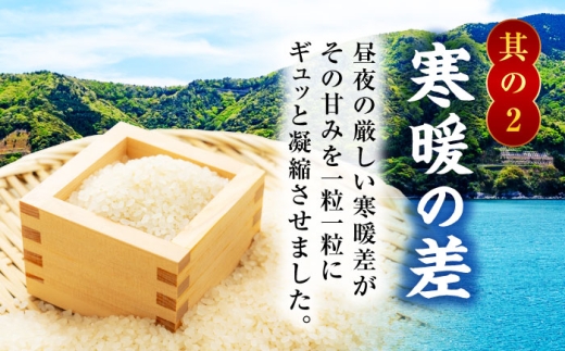 【11月発送】  福井県産 いちほまれ 精米 (白米) 10kg 福井自慢のブランド米 一等級　福井県米 / コシヒカリ発祥 ブランド 特A常連 小浜市 / 若狭ふれあい市場 [BFEL046]