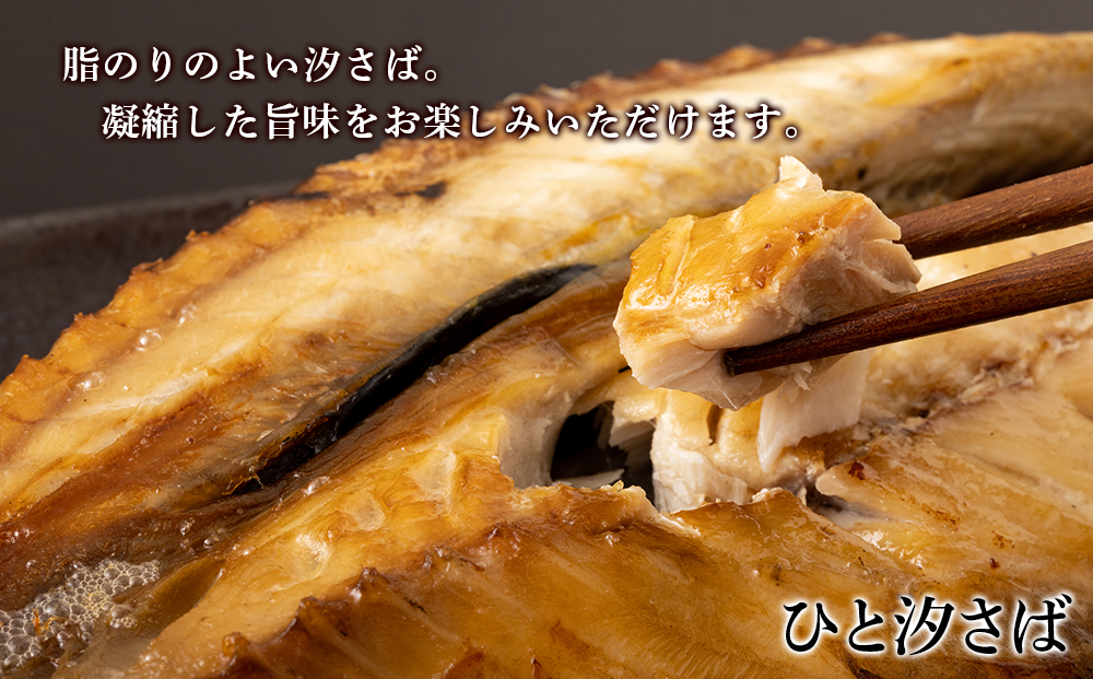 低温熟成 一夜干し 真ほっけ・ひと汐さば セット AA026