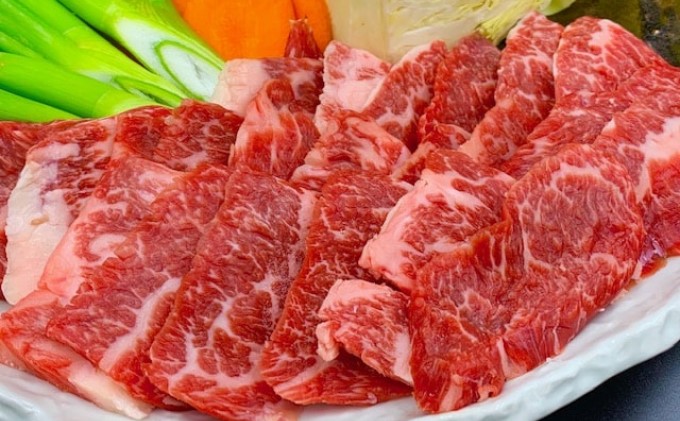 焼肉セット 炭火 牛肉 あか牛 600g 熊本県産 GI認証取得 くまもと 赤牛 熊本 和牛 肥後 焼き肉用 切り落とし 配送不可:離島