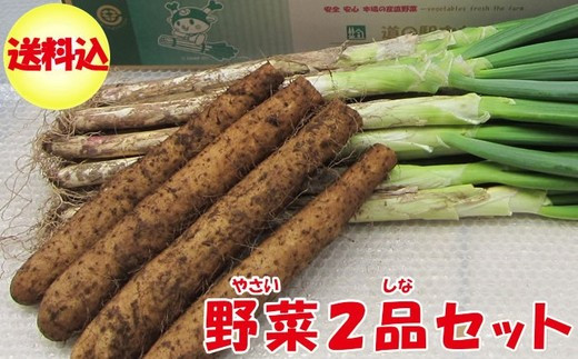 
＜先行受付＞深谷ねぎ3kg・大和芋2kgセット（土付き）　【11218-0243】
