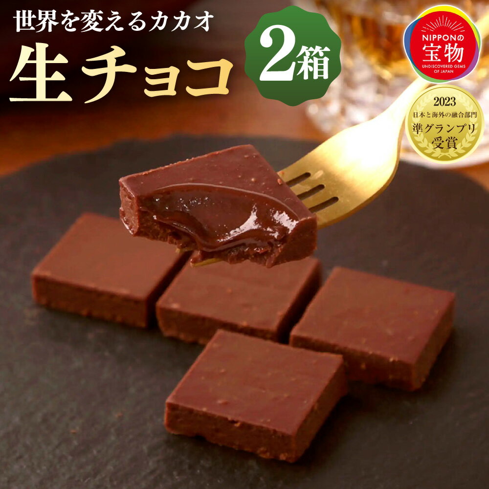 【ふるさと納税】にっぽんの宝物世界大会2023 日本と海外の融合部門 第2位獲得！【世界を変えるカカオ】生チョコレート 1箱5個入×2箱 チョコ 生チョコ 洋菓子 お菓子 スイーツ 冷凍 高知 高知県 香美市 送料無料