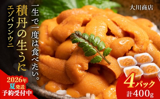 【2026年夏発送分】バフンウニ100g×4パック