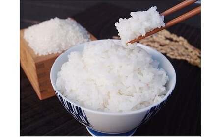 特別栽培米 あきまつり 10kg 岩国地域米(エコ50)【國光米穀店】