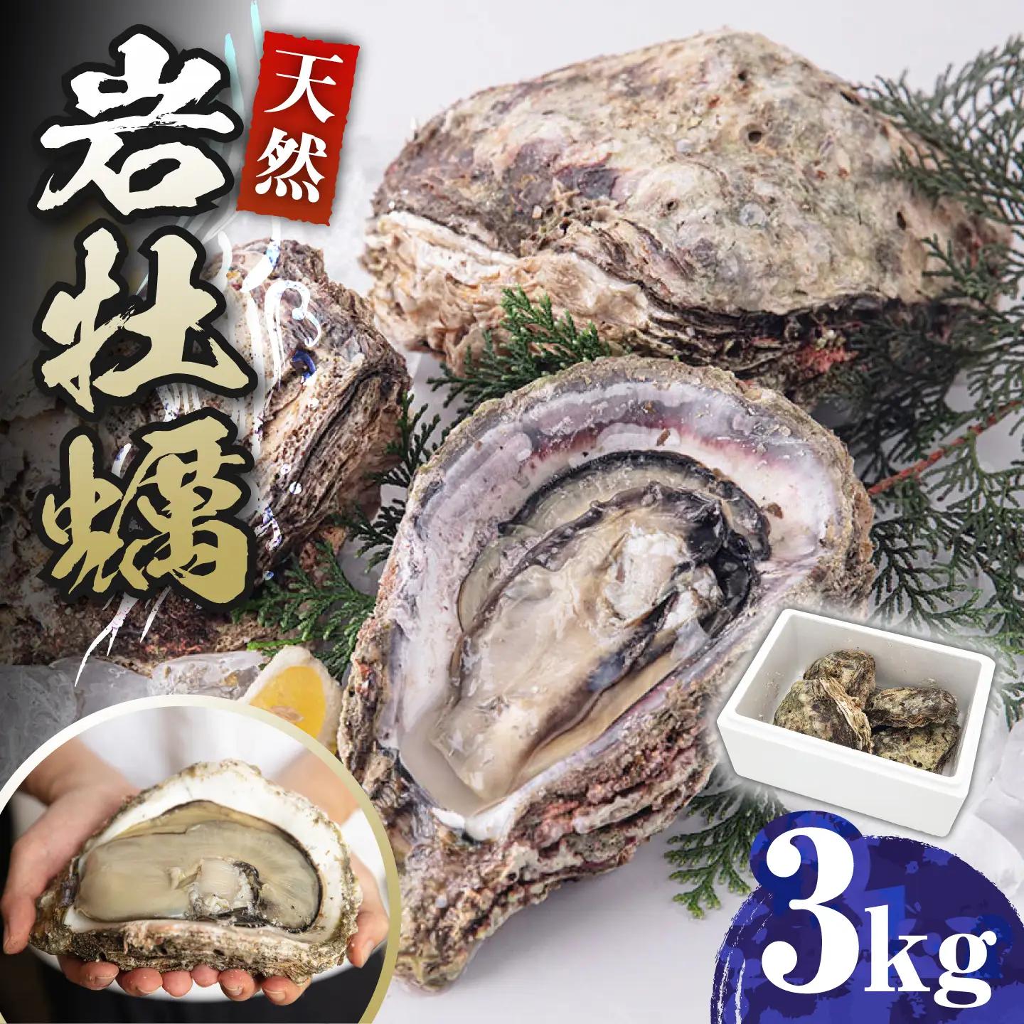 天然 岩ガキ 3kg  [WAD001] 岩がき 牡蠣 海鮮 魚介 牡蠣 かき カキ